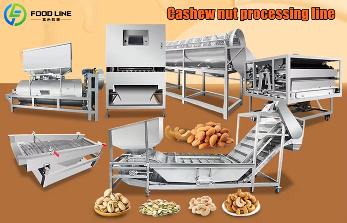 Complete Cashew Processing Line
